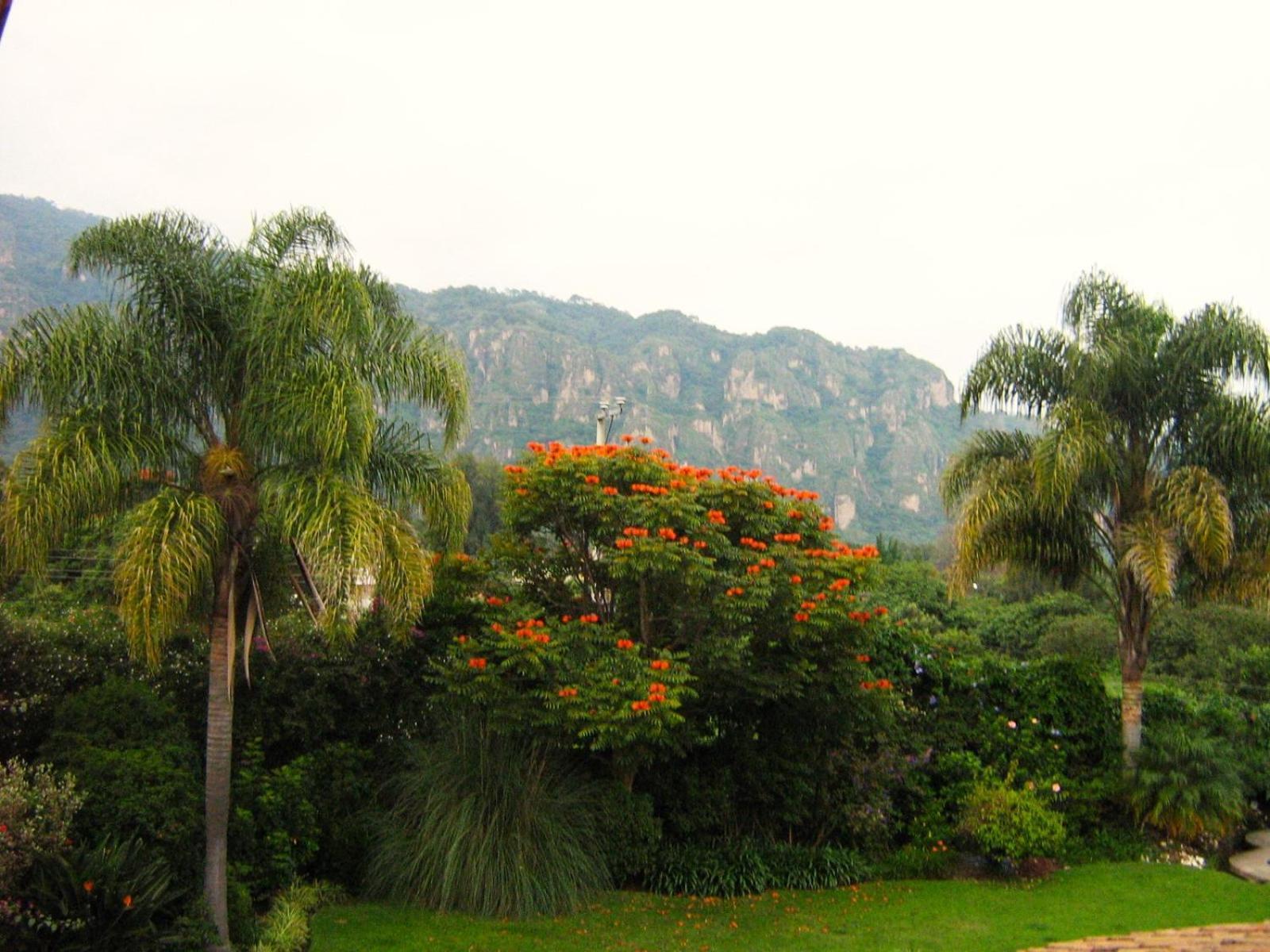 Hotel Areté Tepoztlán Esterno foto