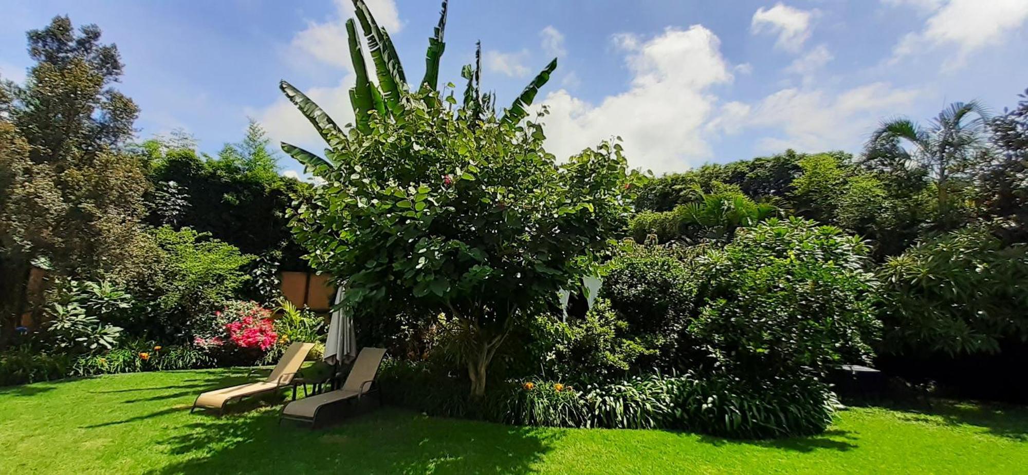 Hotel Areté Tepoztlán Esterno foto
